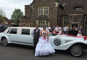 Bride, groom and guests pose beside limousine